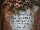 image of grave number 919714